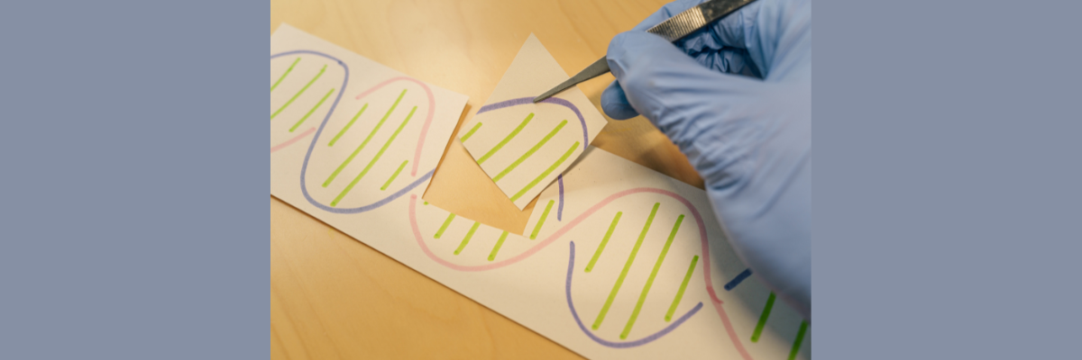 Gene Editing at the Tipping Point: CRISPR moves from lab to living room